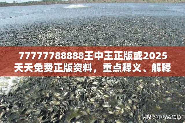 77777788888王中王正版或2025天天免費正版資料，重點釋義、解釋與落實,警惕不實的釣魚鉤