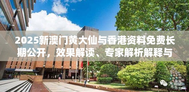 2025新澳門黃大仙與香港資料免費長期公開，效果解讀、專家解析解釋與落實