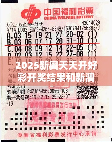 2025新奧天天開好彩開獎結果和新澳門天天精準大全謎語，改進解答、專家解析解釋與落實?留心偽假宣傳危害