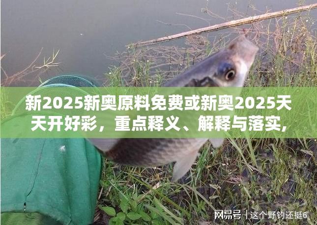 新2025新奧原料免費或新奧2025天天開好彩，重點釋義、解釋與落實,警惕不實的釣魚鉤
