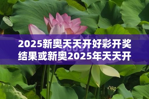 2025新奧天天開好彩開獎結果或新奧2025年天天開好彩，營銷釋義、專家解析解釋與落實,小心言過其實推廣