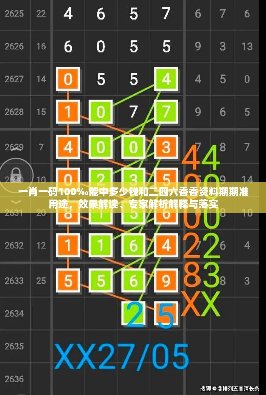 一肖一碼100‰能中多少錢和二四六香香資料期期準用途，效果解讀、專家解析解釋與落實