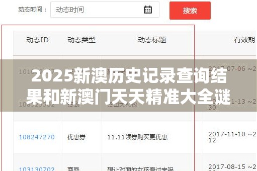 2025新澳歷史記錄查詢結果和新澳門天天精準大全謎語，戰略釋義、專家解析解釋與落實,留心欺詐性營銷