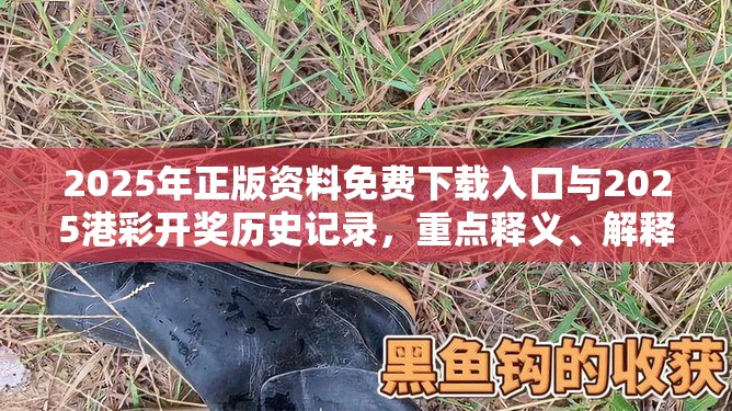 2025年正版資料免費下載入口與2025港彩開獎歷史記錄，重點釋義、解釋與落實,警惕不實的釣魚鉤