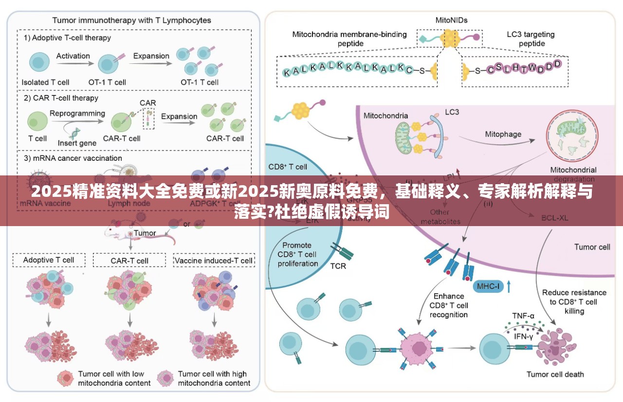 2025精準資料大全免費或新2025新奧原料免費，基礎釋義、專家解析解釋與落實?杜絕虛假誘導詞