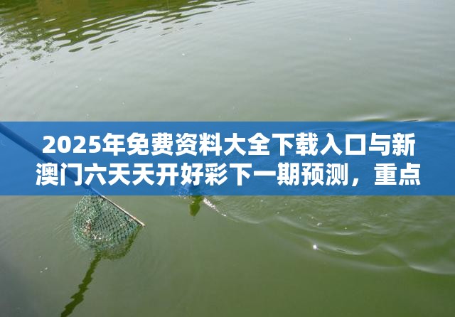2025年免費資料大全下載入口與新澳門六天天開好彩下一期預測，重點釋義、解釋與落實,警惕不實的釣魚鉤