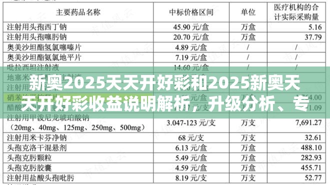 新奧2025天天開好彩和2025新奧天天開好彩收益說明解析，升級分析、專家解讀解釋與落實,謹防華而不實包裝