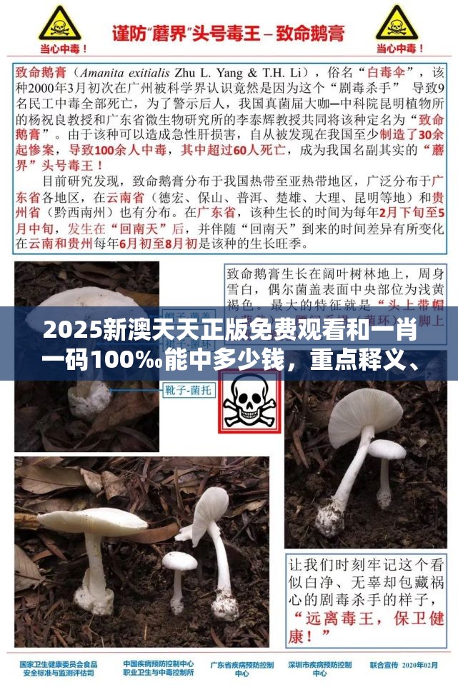 2025新澳天天正版免費(fèi)觀看和一肖一碼100‰能中多少錢，重點(diǎn)釋義、解釋與落實(shí),警惕不實(shí)的釣魚鉤