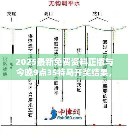 2025最新免費資料正版與今晚9點35特馬開獎結果，重點釋義、解釋與落實,警惕不實的釣魚鉤