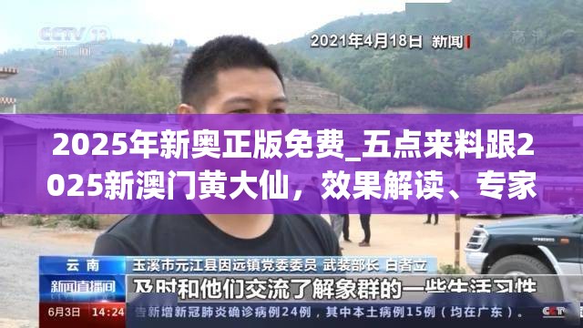 2025年新奧正版免費_五點來料跟2025新澳門黃大仙，效果解讀、專家解析解釋與落實