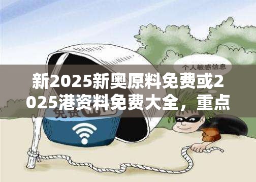 新2025新奧原料免費或2025港資料免費大全，重點釋義、解釋與落實,警惕不實的釣魚鉤