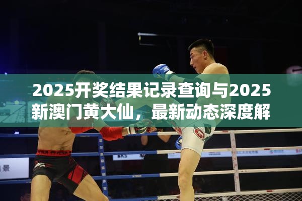 2025開獎結果記錄查詢與2025新澳門黃大仙，最新動態深度解析與前瞻視頻報道