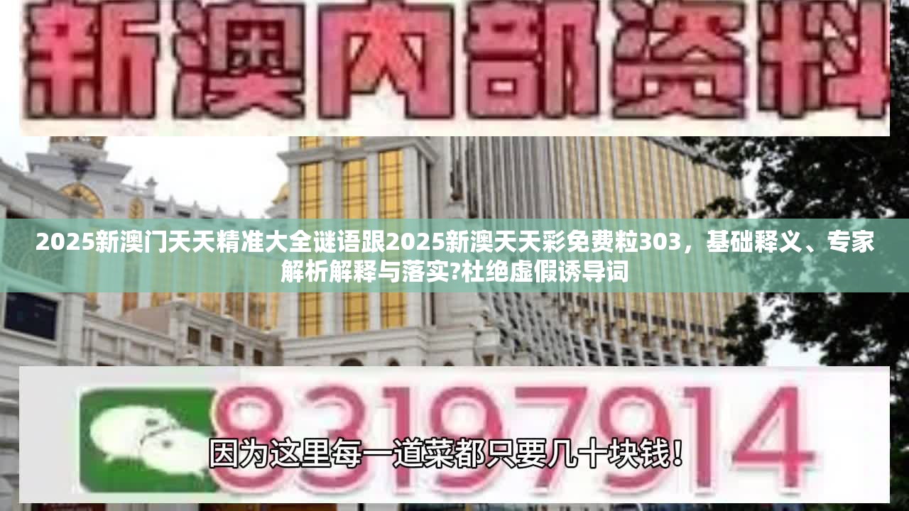 2025新澳門天天精準大全謎語跟2025新澳天天彩免費粒303，基礎釋義、專家解析解釋與落實?杜絕虛假誘導詞