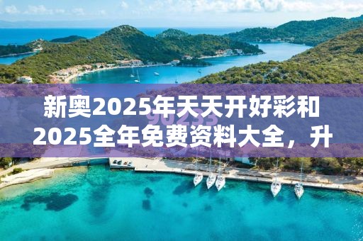 新奧2025年天天開好彩和2025全年免費資料大全，升級分析、專家解讀解釋與落實,謹防華而不實包裝