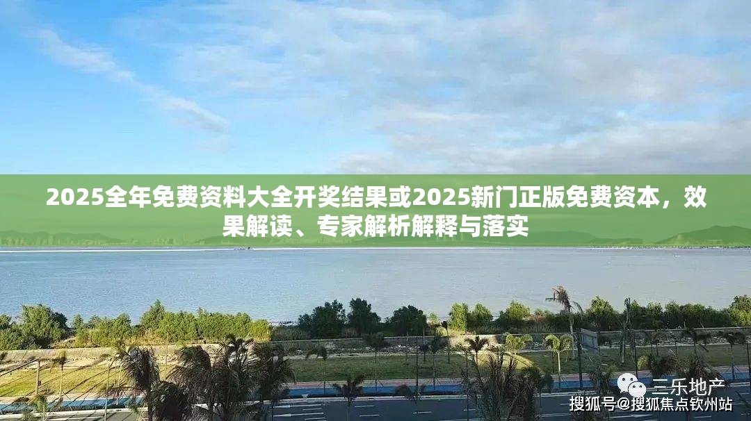 2025全年免費(fèi)資料大全開獎(jiǎng)結(jié)果或2025新門正版免費(fèi)資本，效果解讀、專家解析解釋與落實(shí)