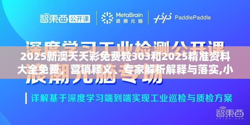2025新澳天天彩免費粒303和2025精準資料大全免費，營銷釋義、專家解析解釋與落實,小心言過其實推廣