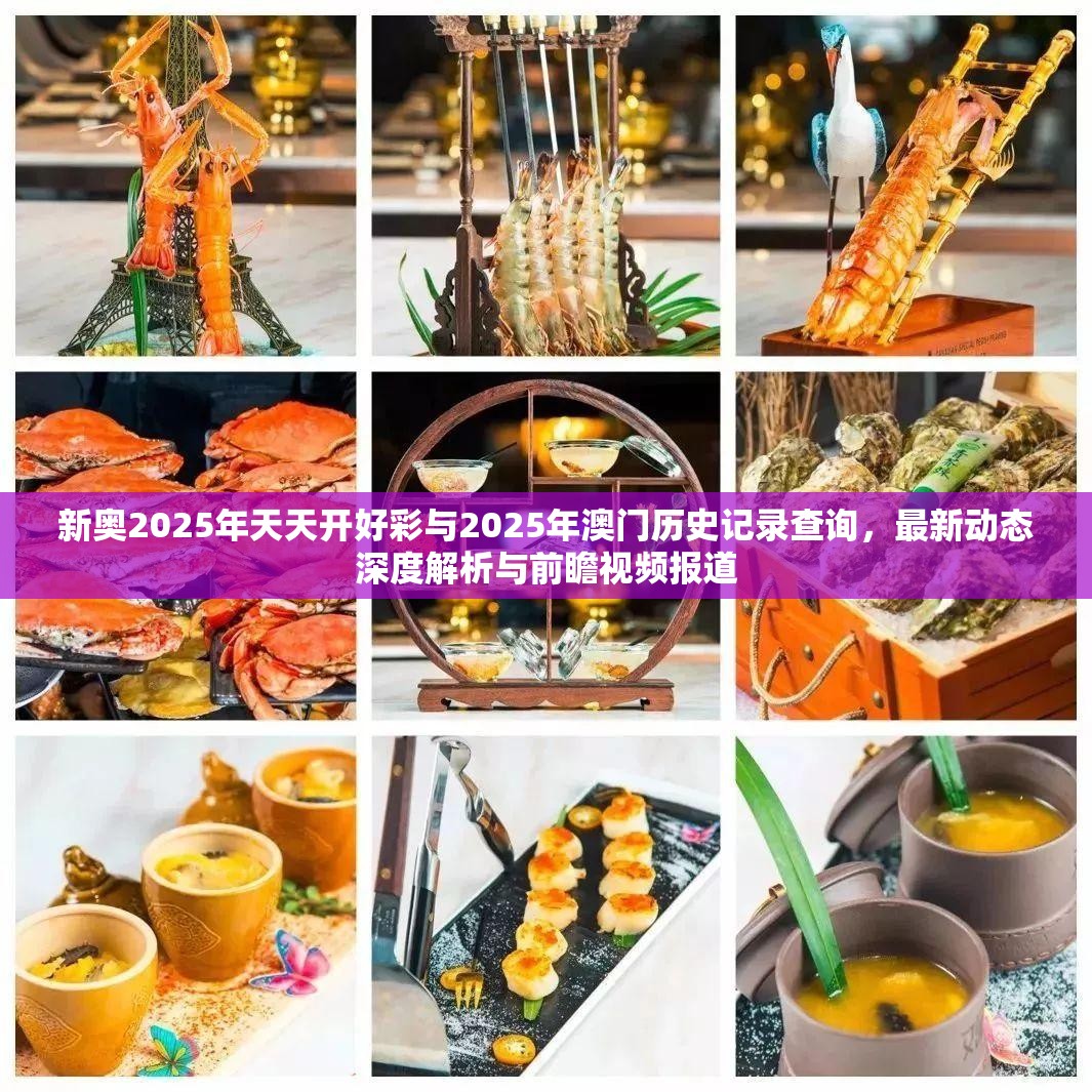 新奧2025年天天開好彩與2025年澳門歷史記錄查詢，最新動態深度解析與前瞻視頻報道