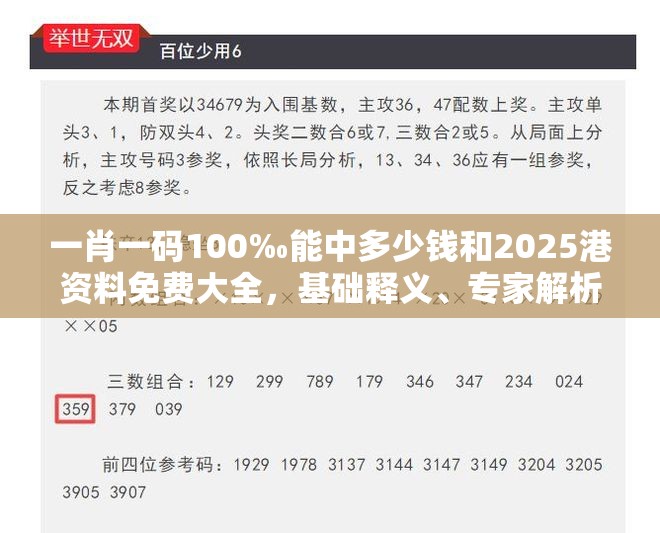 一肖一碼100‰能中多少錢和2025港資料免費(fèi)大全，基礎(chǔ)釋義、專家解析解釋與落實(shí)?杜絕虛假誘導(dǎo)詞