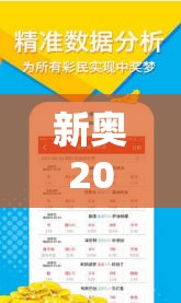 新奧2025天天開好彩跟2025年澳門歷史記錄查詢，升級分析、專家解讀解釋與落實,謹防華而不實包裝