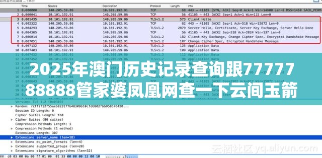 2025年澳門歷史記錄查詢跟7777788888管家婆鳳凰網查一下云間玉箭，效果解讀、專家解析解釋與落實