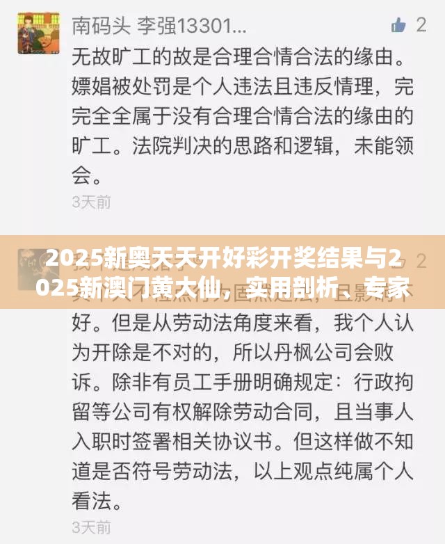 2025新奧天天開(kāi)好彩開(kāi)獎(jiǎng)結(jié)果與2025新澳門(mén)黃大仙，實(shí)用剖析、專家解讀解釋與落實(shí)?