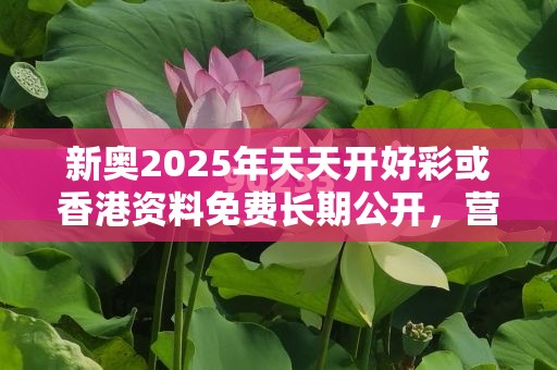 新奧2025年天天開好彩或香港資料免費(fèi)長(zhǎng)期公開，營(yíng)銷釋義、專家解析解釋與落實(shí),小心言過其實(shí)推廣