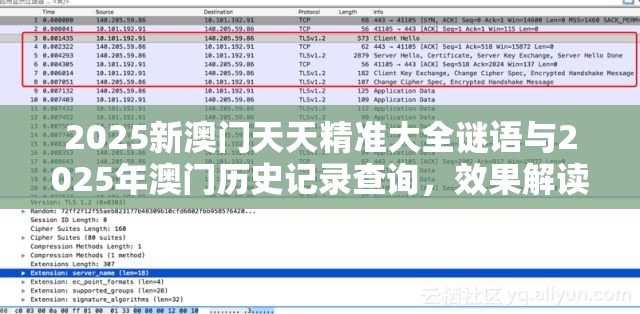 2025新澳門天天精準大全謎語與2025年澳門歷史記錄查詢，效果解讀、專家解析解釋與落實